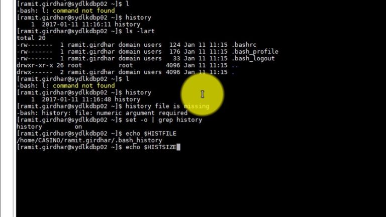 How To Use Bash History Commands and Expansions on a Linux VPS