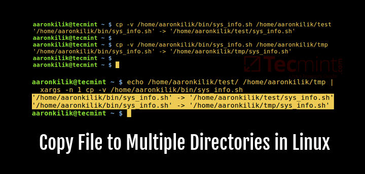 How to Copy Files and Directories in the Linux Terminal