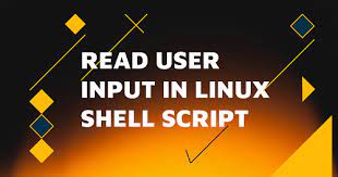 How to Prompt for User Input in Shell Script