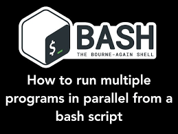 Parallel Jobs in Bash Using the For Loop